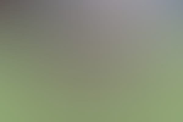 New England Mutiny vs. Maine Footy (UWS)