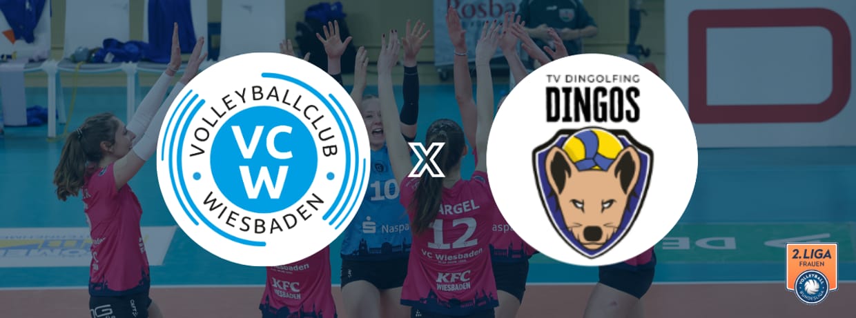 VC Wiesbaden II - TV Dingolfing
