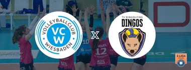VC Wiesbaden II - TV Dingolfing