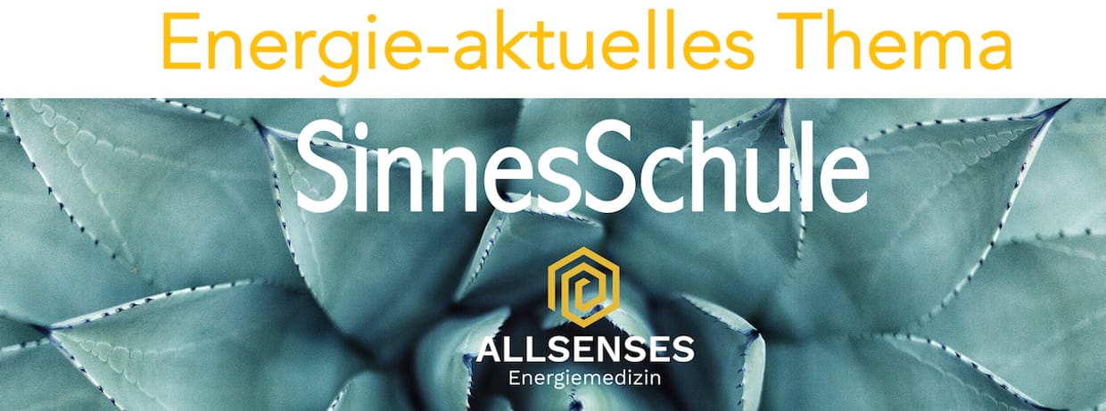 SinnesSchulung - Zähne & Co