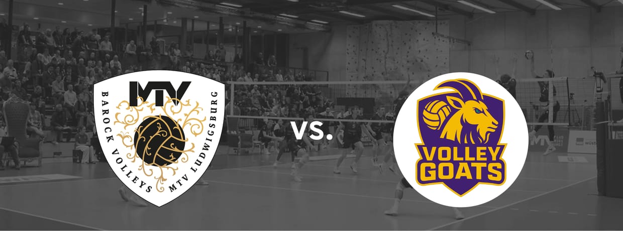 Barock Volleys - cerebricks VOLLEY GOATS Mitteld.