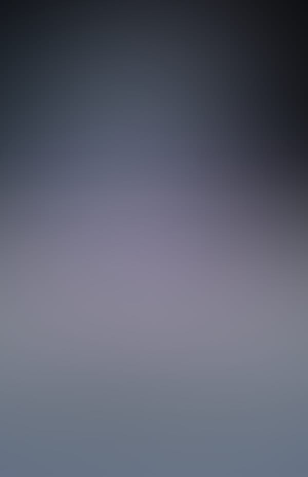 Nai-Ni Dance Company