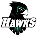 Nürnberg Hawks American Football e.V.