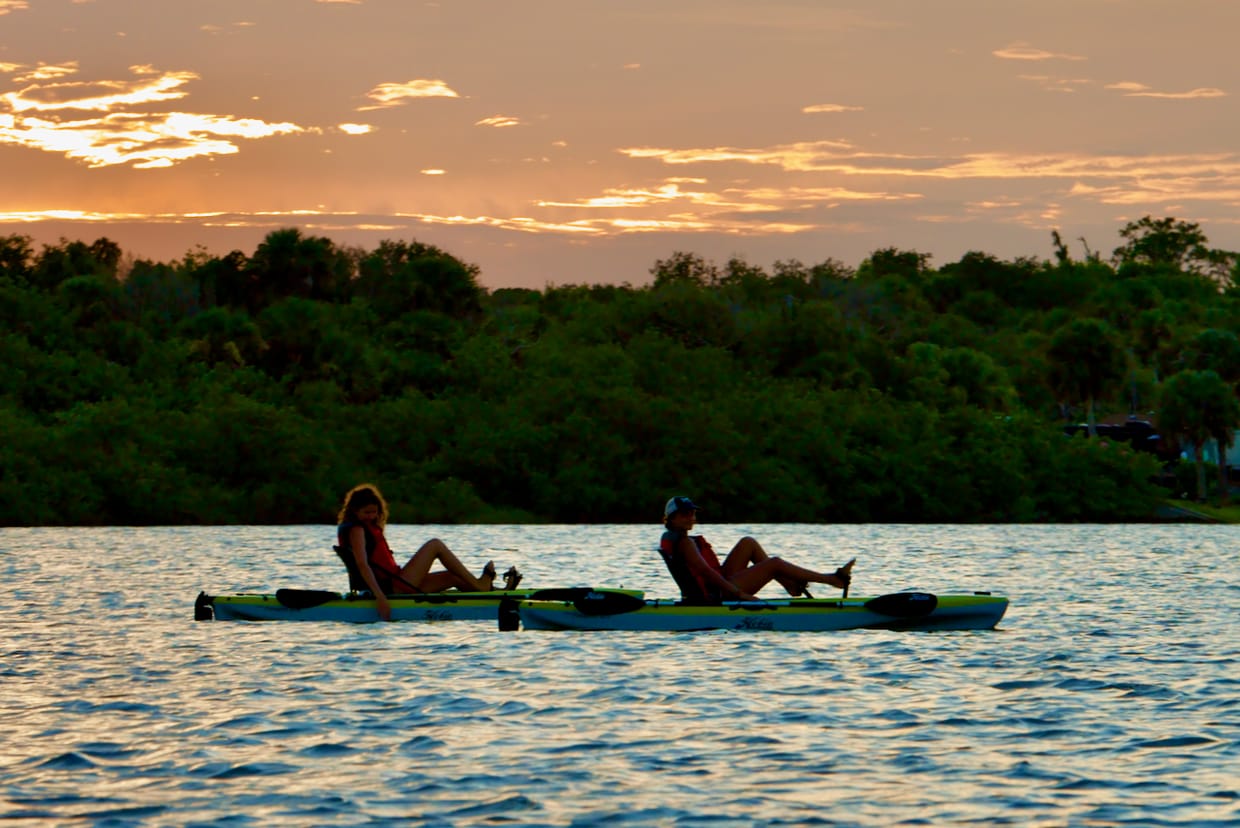 Immerse Yourself in Nature with Singing Pines & Viking EcoTours