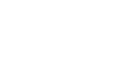 Lemo Fest
