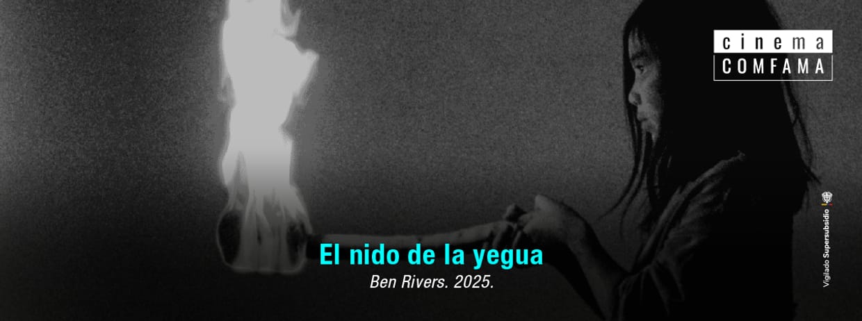 El nido de la yegua