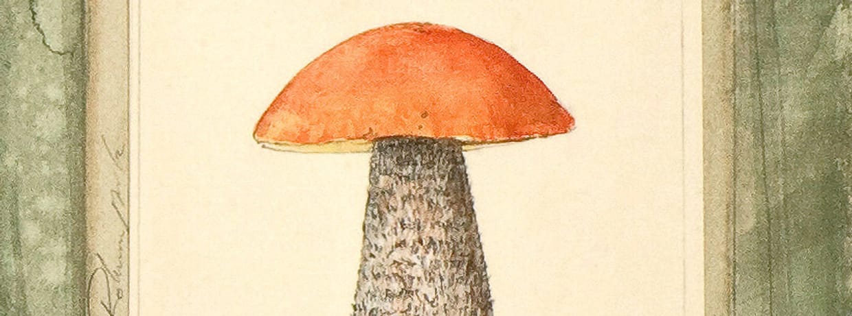 Miteinander – Verborgenes Zusammenleben