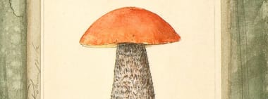 Miteinander – Verborgenes Zusammenleben