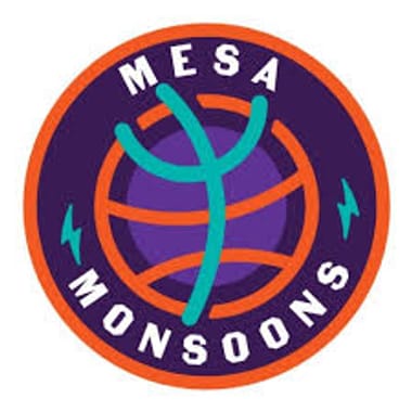 Mesa Monsoons Season Pass