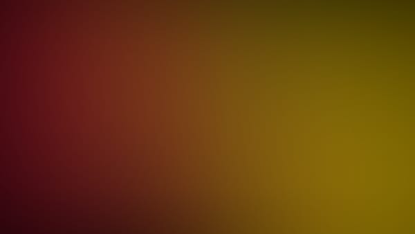 Ferris State Basketball Season Tickets