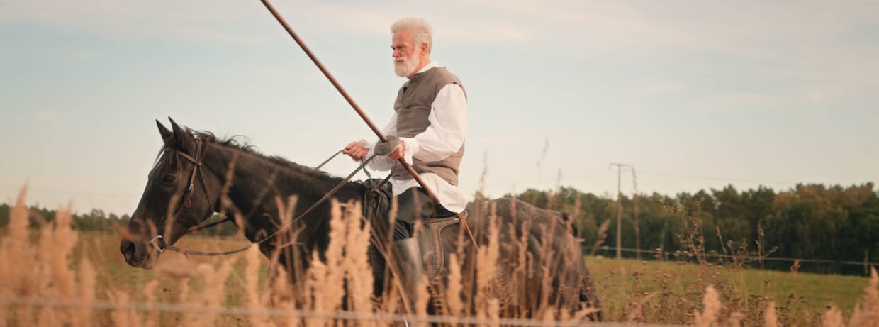 Don Quijote in Rheinsberg