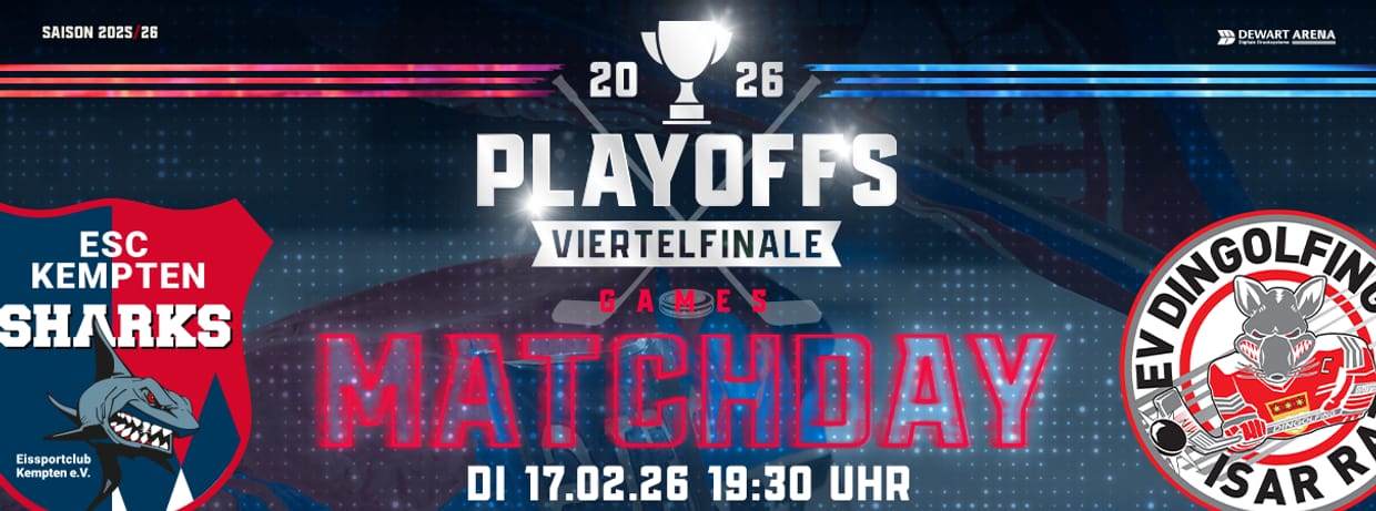 PLAYOFF GAME V vs. Dingolfing "Isar Rats"