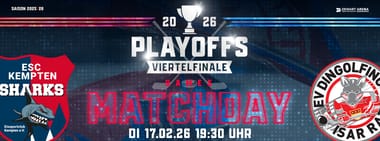 PLAYOFF GAME V vs. Dingolfing "Isar Rats"