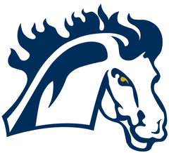 Mount Mercy Mustangs