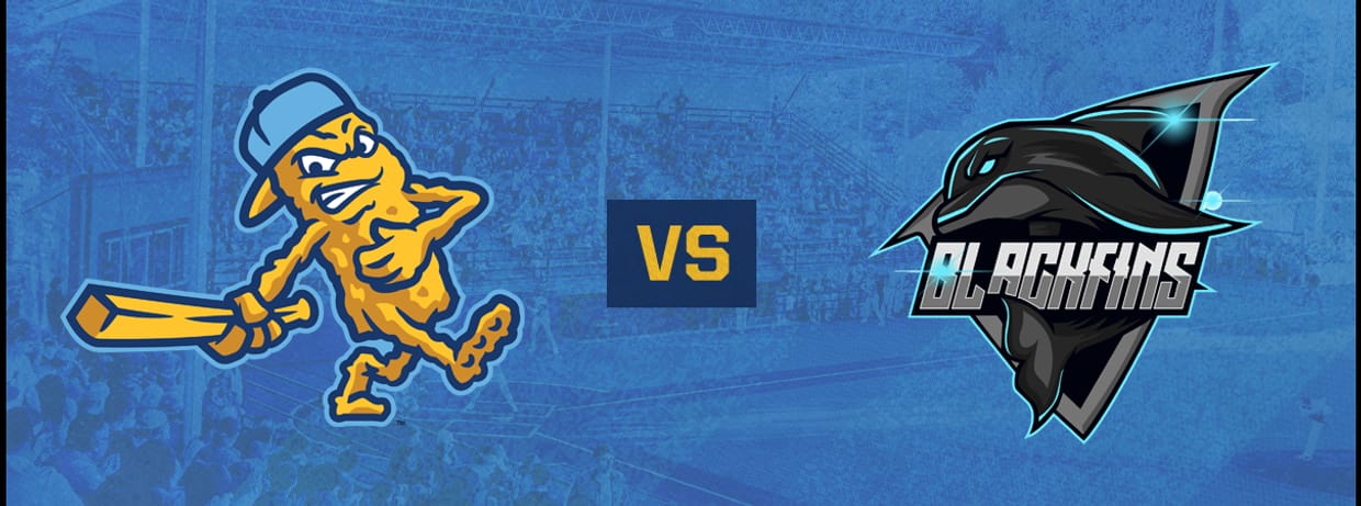 Lights, Baseball, Action – Sticks vs. Blackfins | July 19, 2025