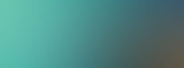 Waitangi Festival