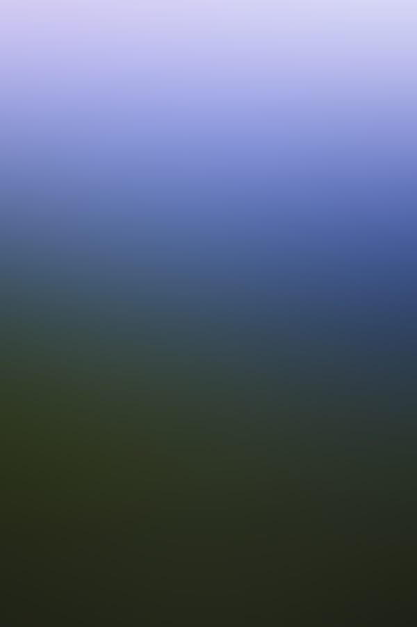SCENE IN VIRGINIA SERIES - SHENANDOAH (2025)