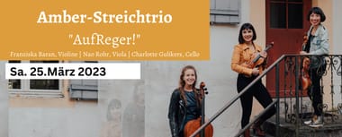 Amber Streichtrio - "AufReger!"
