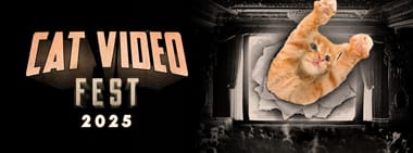 Cat Video Fest 2025