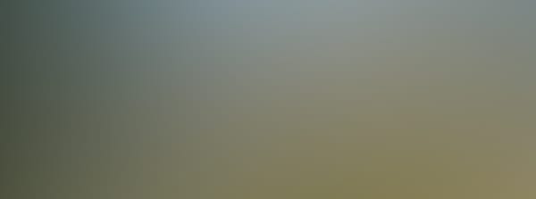 CANCELED - Skovsgaard Gods 14:00