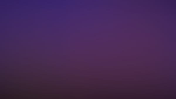 Sonntag Matinee / Miraculous: Ladybug & Cat Noir - Der Film / Beginn 11:00 Uhr
