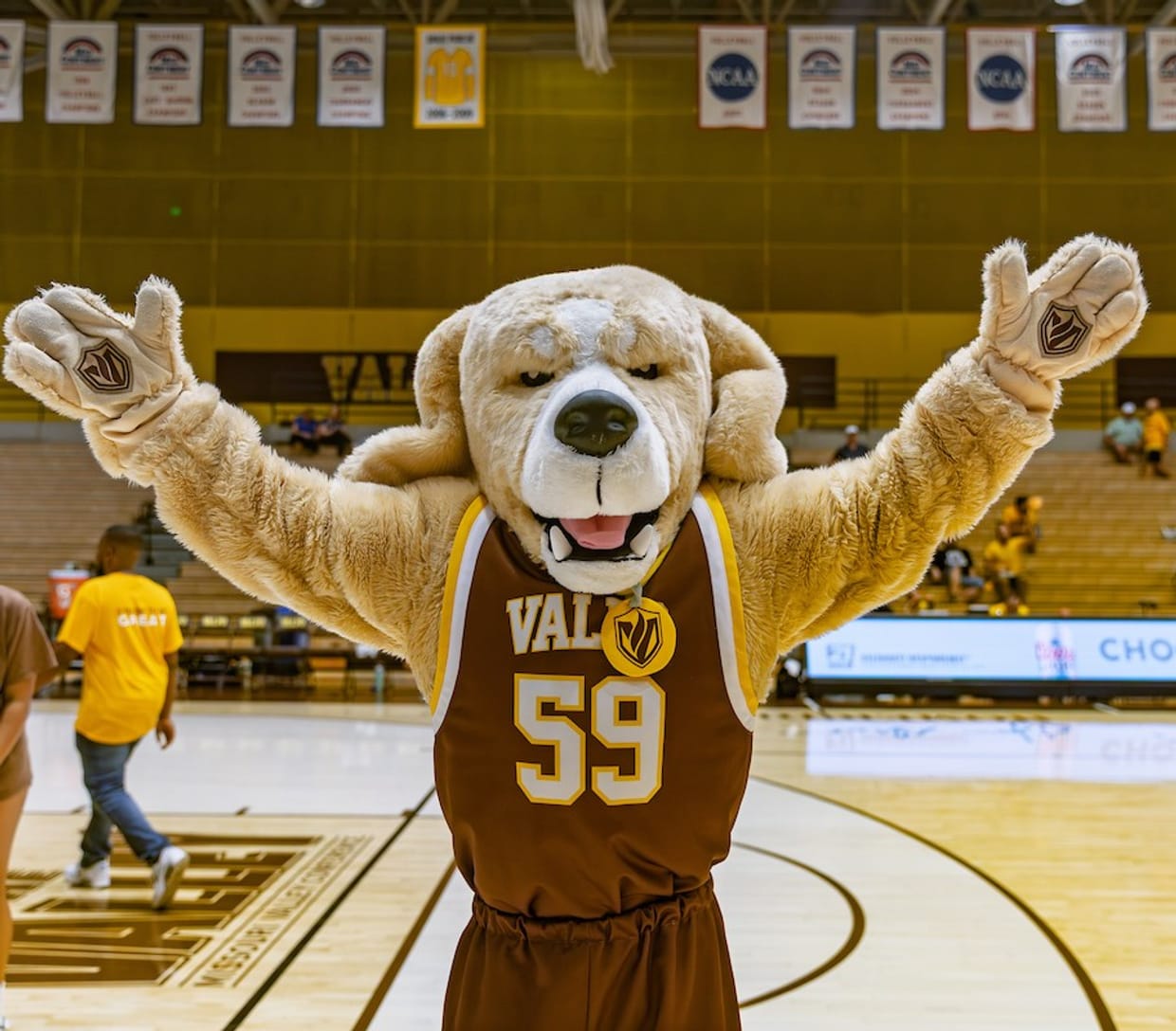 Valpo Volleyball vs UIC