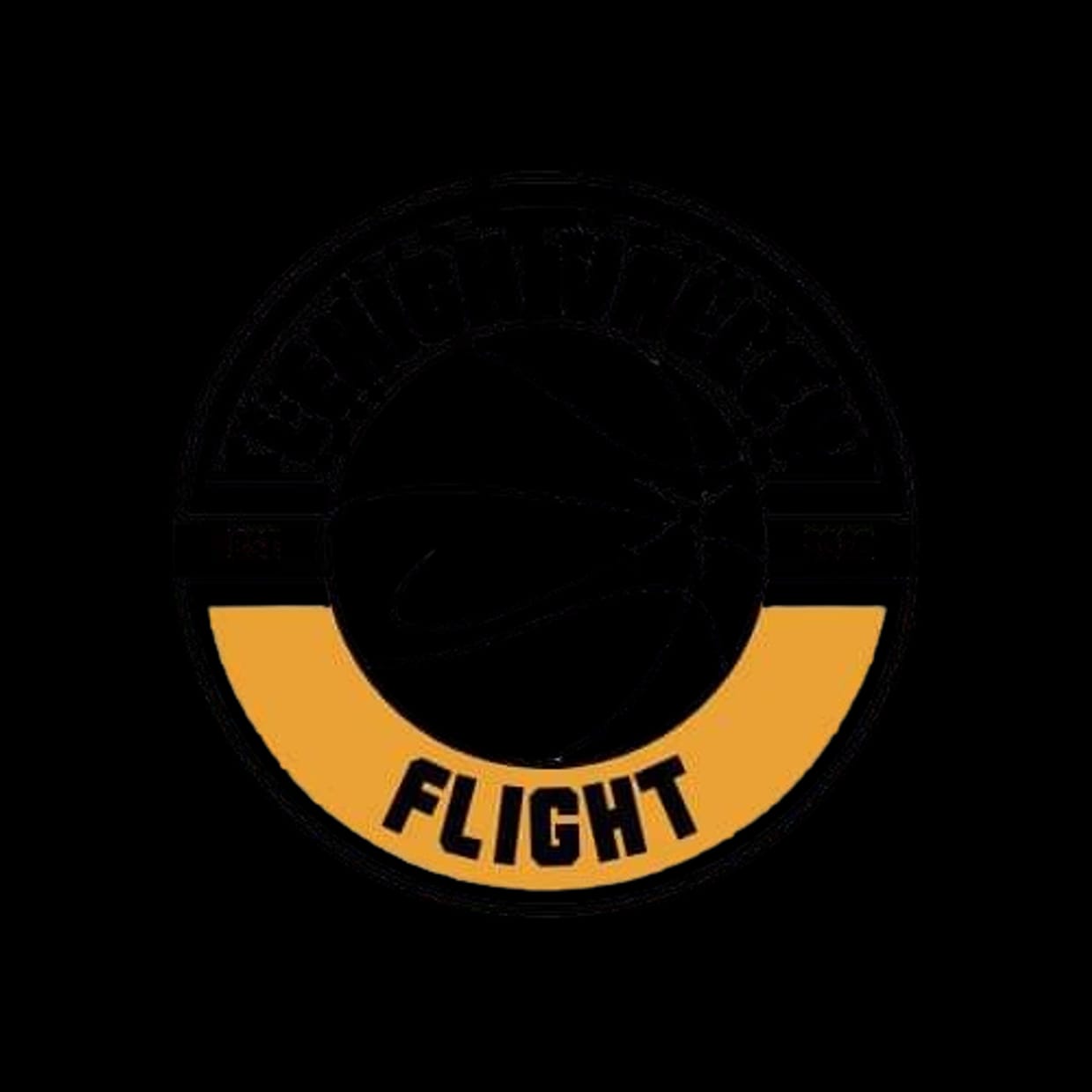 Lehigh Valley Flight vs DLS Rockets