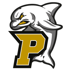 American Football Club Paderborn Dolphins e.V.