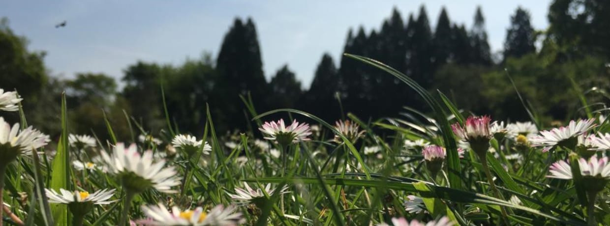 FÜHRUNG | Wie schmeckt der Schlosspark?