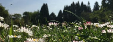 FÜHRUNG | Wie schmeckt der Schlosspark?