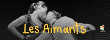 LES AIMANTS