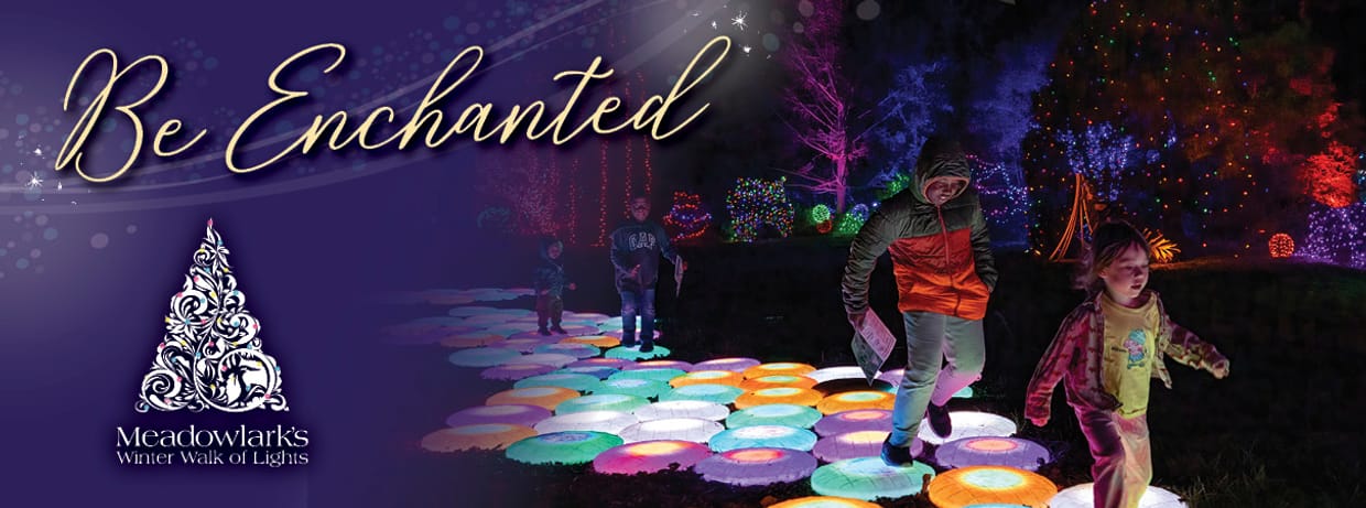 2025 Meadowlark's Winter Walk of Lights