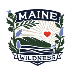 Maine Wildness