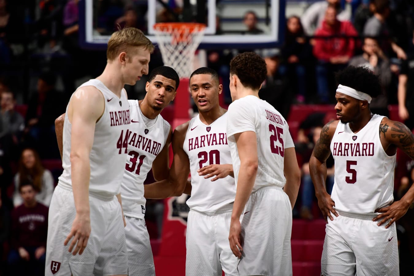 Harvard Basketball