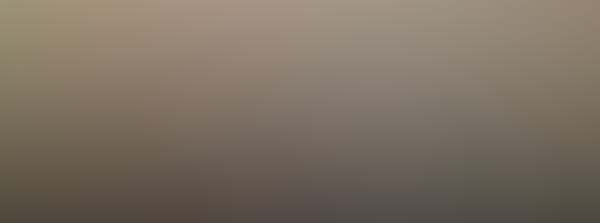 Monet : The Immersive Experience - Toulouse