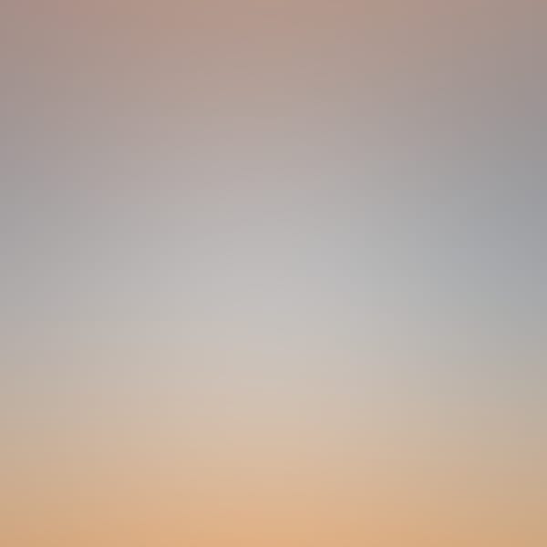 Catalina Sunsets