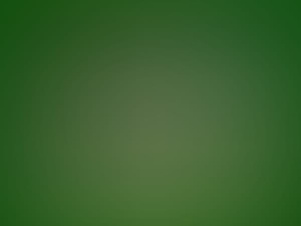 Pet Sounds Live