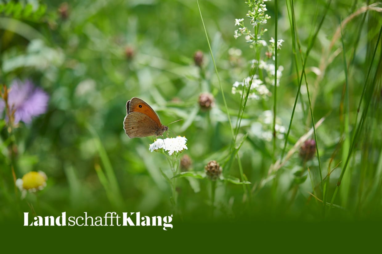 Vernissage Land.schafft.Klang