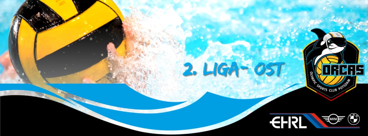 2. Liga/Ost vs SV Zwickau