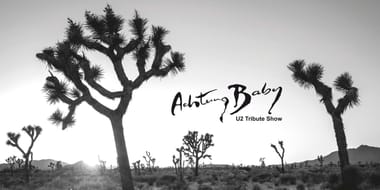 25 JAHRE ACHTUNG BABY U2 2027