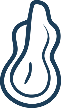 Jugendkammerorchester Berlin e.V.