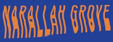 NARALLAH GROVE EP RELEASE PARTY