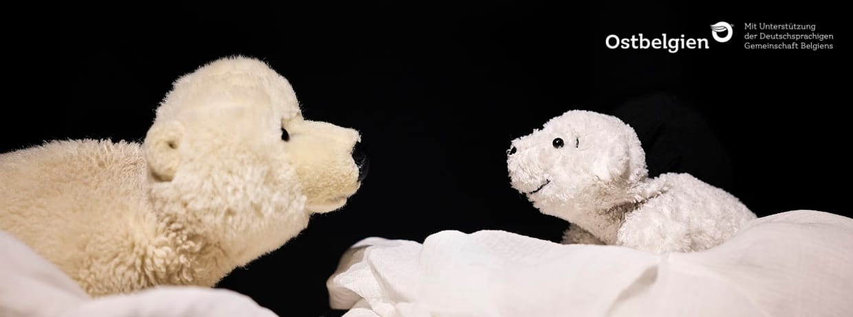 Kleiner Eisbär, wohin fährst du?