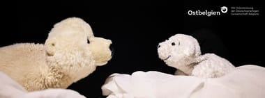 Kleiner Eisbär, wohin fährst du?