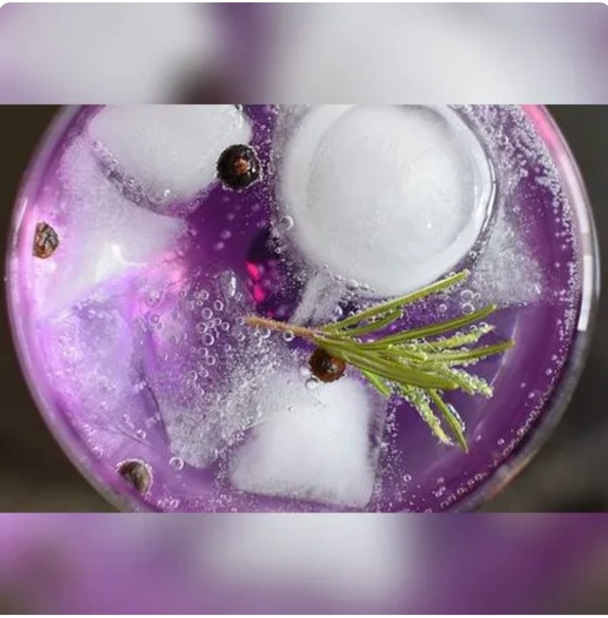 Kulinarische Gin Affäre-Special mit Brennerei Henrich aus Kriftel