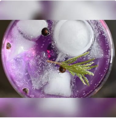 Kulinarische Gin Affäre-Special mit Brennerei Henrich aus Kriftel