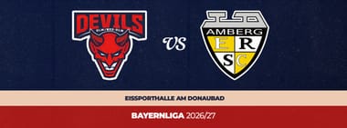 Amberg Wild Lions