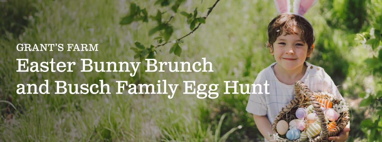 Easter Bunny Brunch and Busch Family Egg Hunt