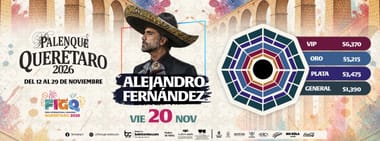 ALEJANDRO FERNANDEZ 20/11/2026