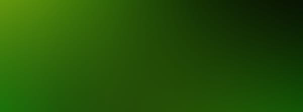 King Parrot